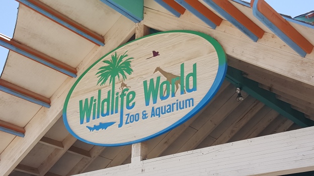 In Phoenix? Check Out Wildlife World Zoo & Aquarium. Fun for the whole family.